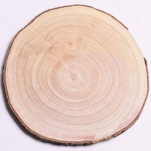 Kinekus Podložka/plát drevený 26-30x2,5 cm